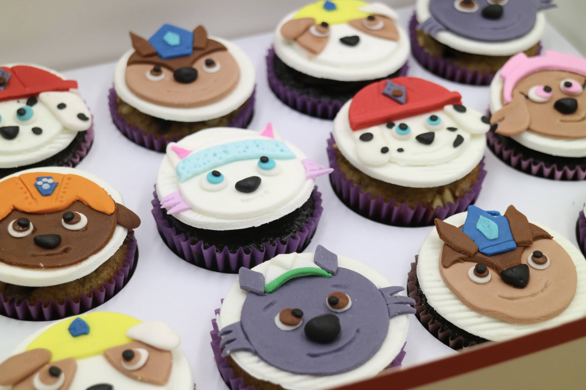 Gallery image IMG 5742